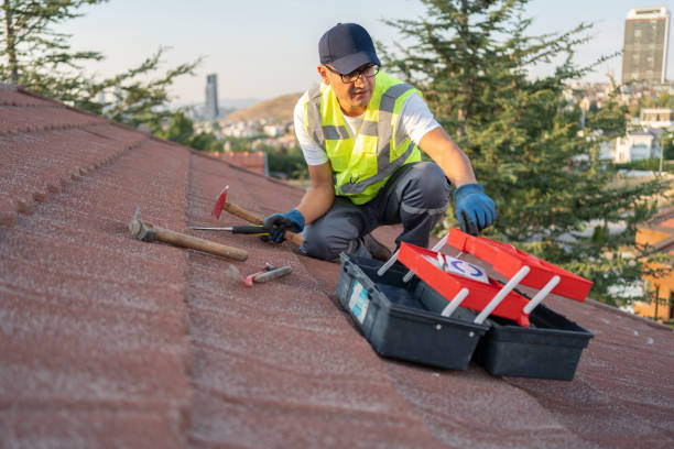 Best Historical Building Siding Restoration  in Dublin, TX